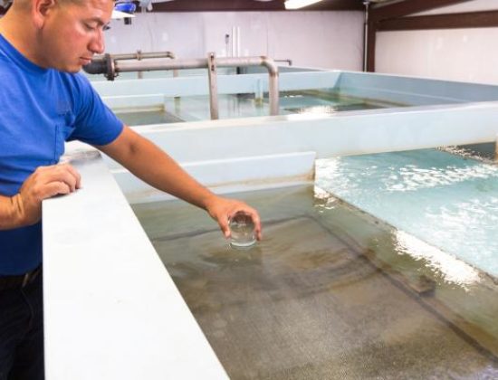 Canyon Lake Water Service Co