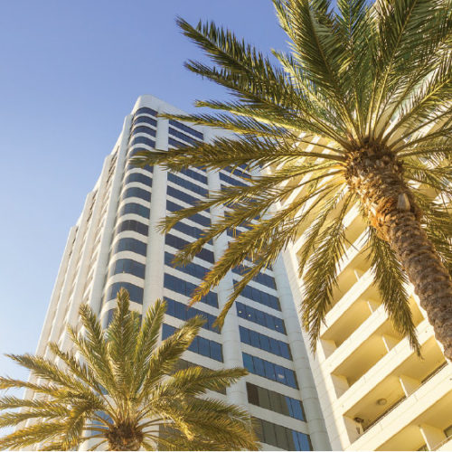 PALMtreeBuilding