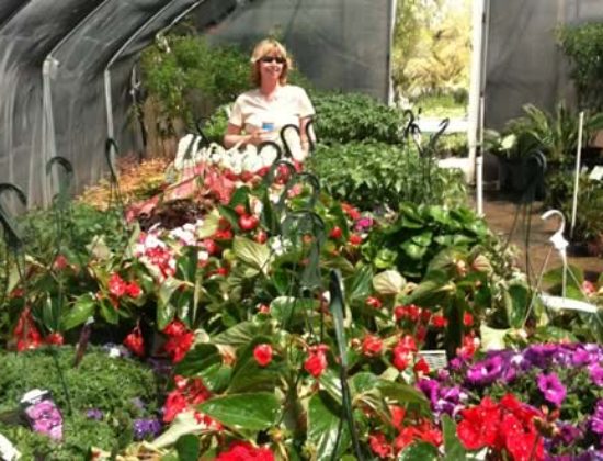 South Texas Growers