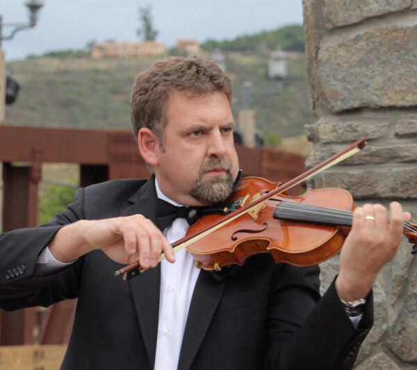 TemeculaViloinArts
