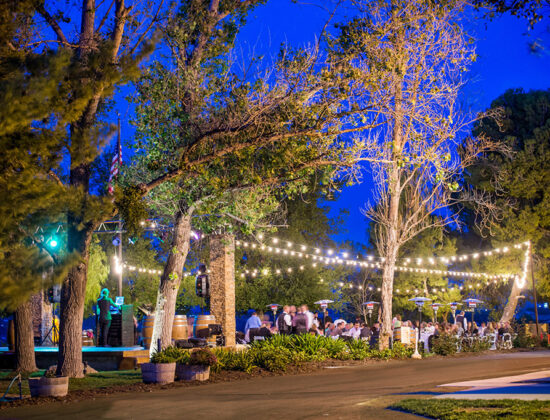Bel Vino Winery