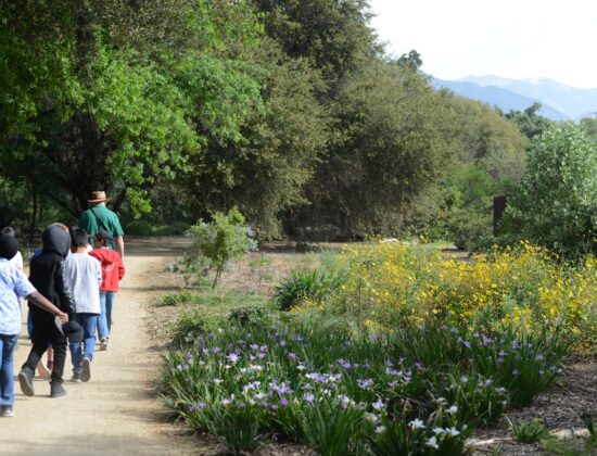 California Botanic Garden