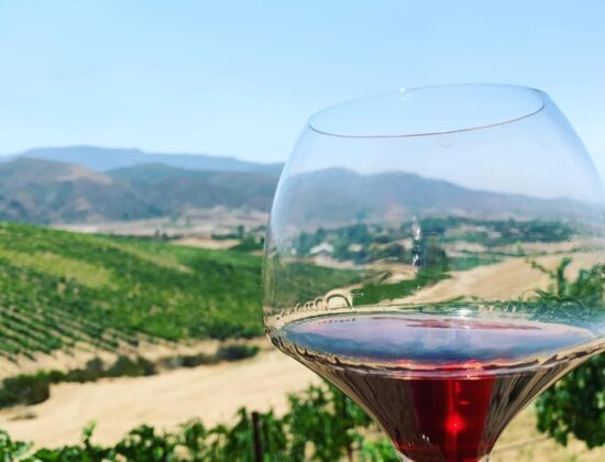 Gershon Bachus Vintners