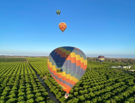 A Grape Escape Hot Air Balloon Adventure