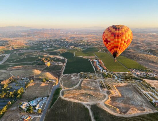A Grape Escape Hot Air Balloon Adventure