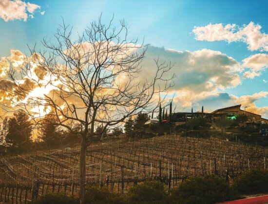 Miramonte Winery