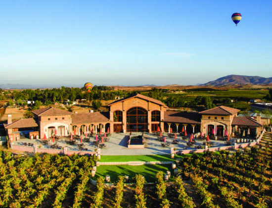 Monte De Oro Winery