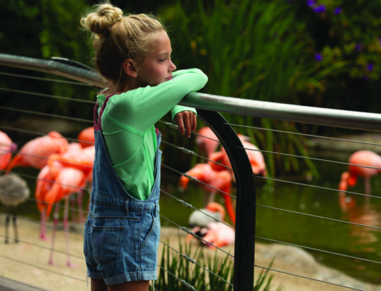 San Diego Zoo and Safari Park