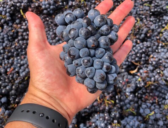 Wiens Family Cellars