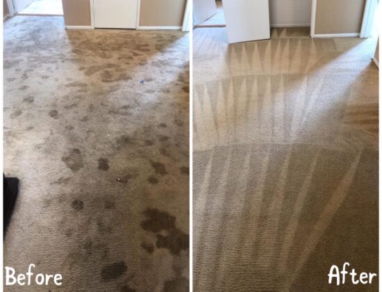 Beacon Carpet Cleaning