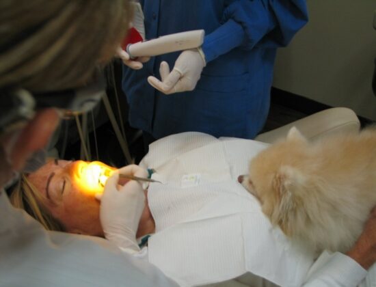 Kristy Vetter, DDS, Inc.